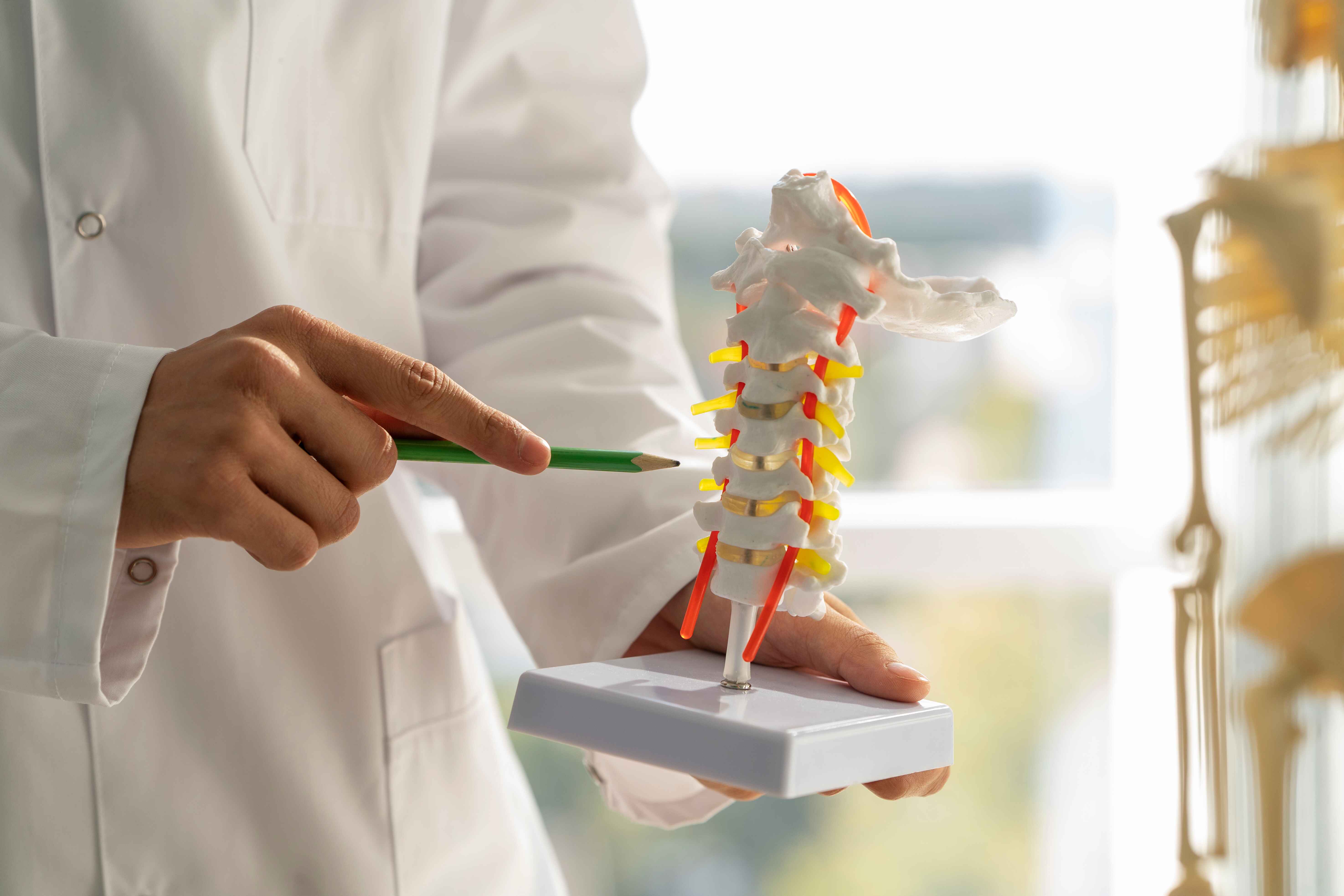 Orthopedic & Spine Surgery